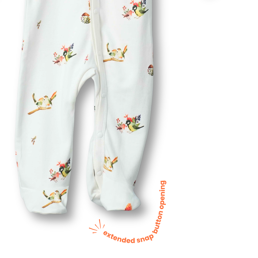 Organic Cotton Footed Onesie (Pack of 2)
