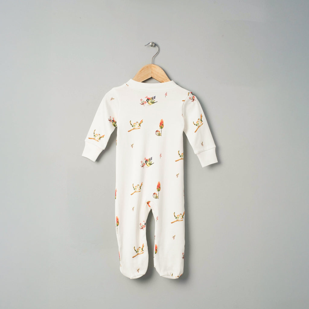 Organic Cotton Footed Onesie (Pack of 2)
